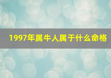 1997年属牛人属于什么命格