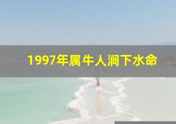 1997年属牛人涧下水命