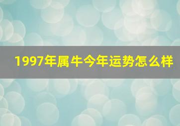 1997年属牛今年运势怎么样