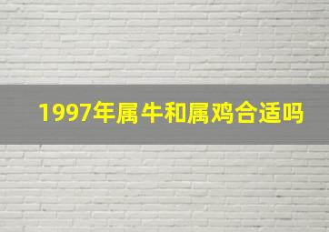 1997年属牛和属鸡合适吗