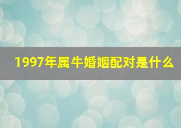 1997年属牛婚姻配对是什么