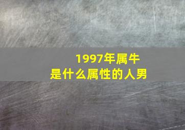 1997年属牛是什么属性的人男