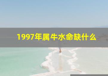 1997年属牛水命缺什么