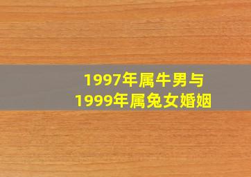 1997年属牛男与1999年属兔女婚姻