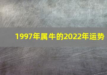 1997年属牛的2022年运势