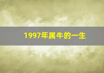 1997年属牛的一生