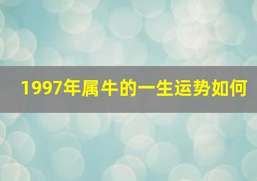 1997年属牛的一生运势如何