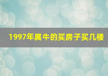 1997年属牛的买房子买几楼