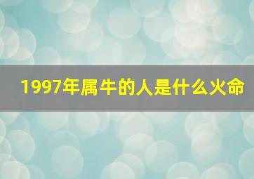 1997年属牛的人是什么火命