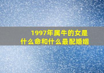 1997年属牛的女是什么命和什么最配婚姻