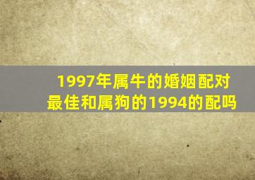 1997年属牛的婚姻配对最佳和属狗的1994的配吗