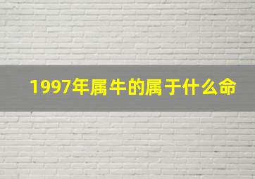 1997年属牛的属于什么命