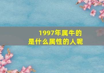 1997年属牛的是什么属性的人呢