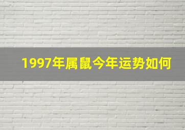 1997年属鼠今年运势如何