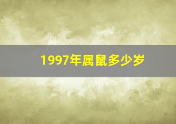 1997年属鼠多少岁