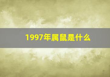 1997年属鼠是什么