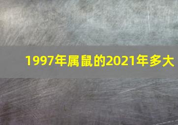 1997年属鼠的2021年多大