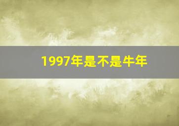 1997年是不是牛年