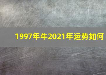 1997年牛2021年运势如何