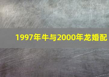 1997年牛与2000年龙婚配