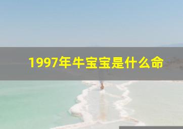 1997年牛宝宝是什么命