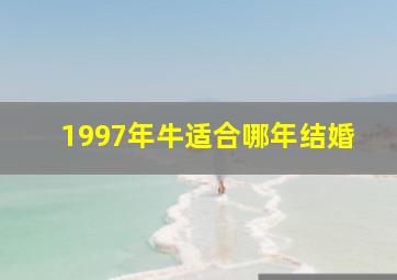 1997年牛适合哪年结婚