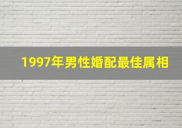 1997年男性婚配最佳属相