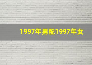 1997年男配1997年女