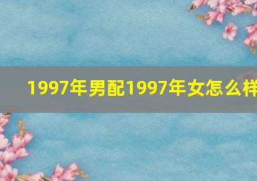 1997年男配1997年女怎么样