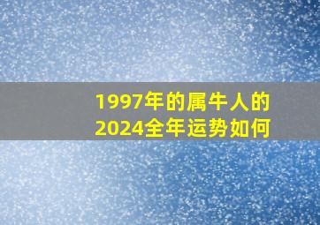 1997年的属牛人的2024全年运势如何