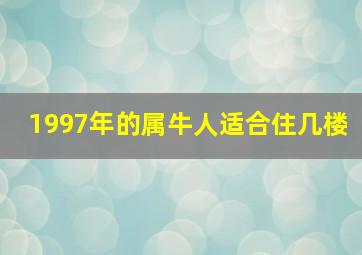 1997年的属牛人适合住几楼