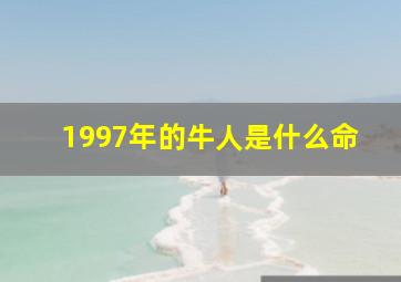 1997年的牛人是什么命