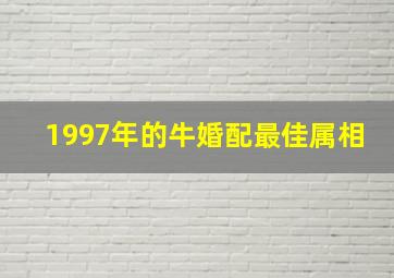 1997年的牛婚配最佳属相