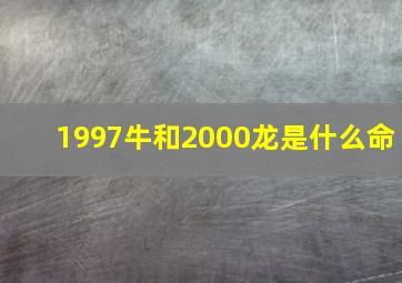 1997牛和2000龙是什么命