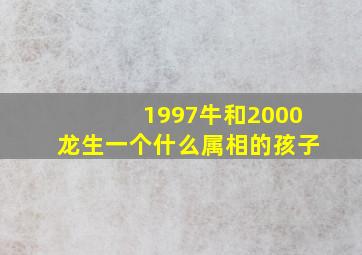 1997牛和2000龙生一个什么属相的孩子