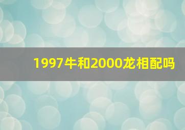 1997牛和2000龙相配吗