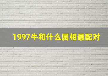 1997牛和什么属相最配对