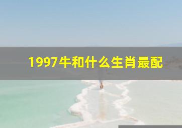 1997牛和什么生肖最配