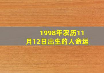 1998年农历11月12日出生的人命运