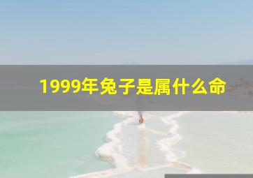 1999年兔子是属什么命