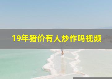 19年猪价有人炒作吗视频