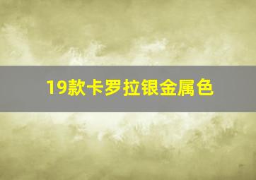 19款卡罗拉银金属色