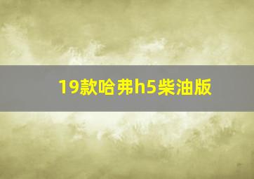 19款哈弗h5柴油版