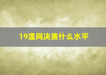 19温网决赛什么水平