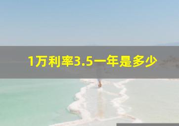 1万利率3.5一年是多少