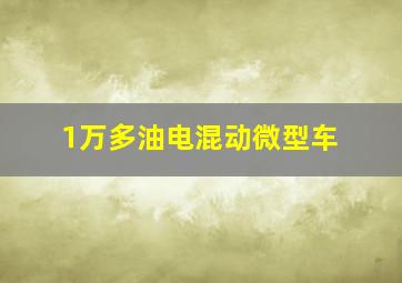 1万多油电混动微型车