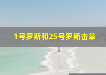 1号罗斯和25号罗斯击掌