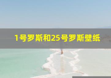 1号罗斯和25号罗斯壁纸