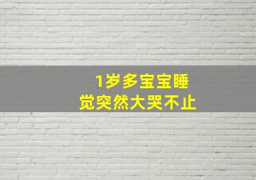 1岁多宝宝睡觉突然大哭不止