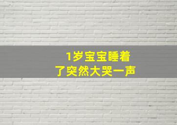 1岁宝宝睡着了突然大哭一声